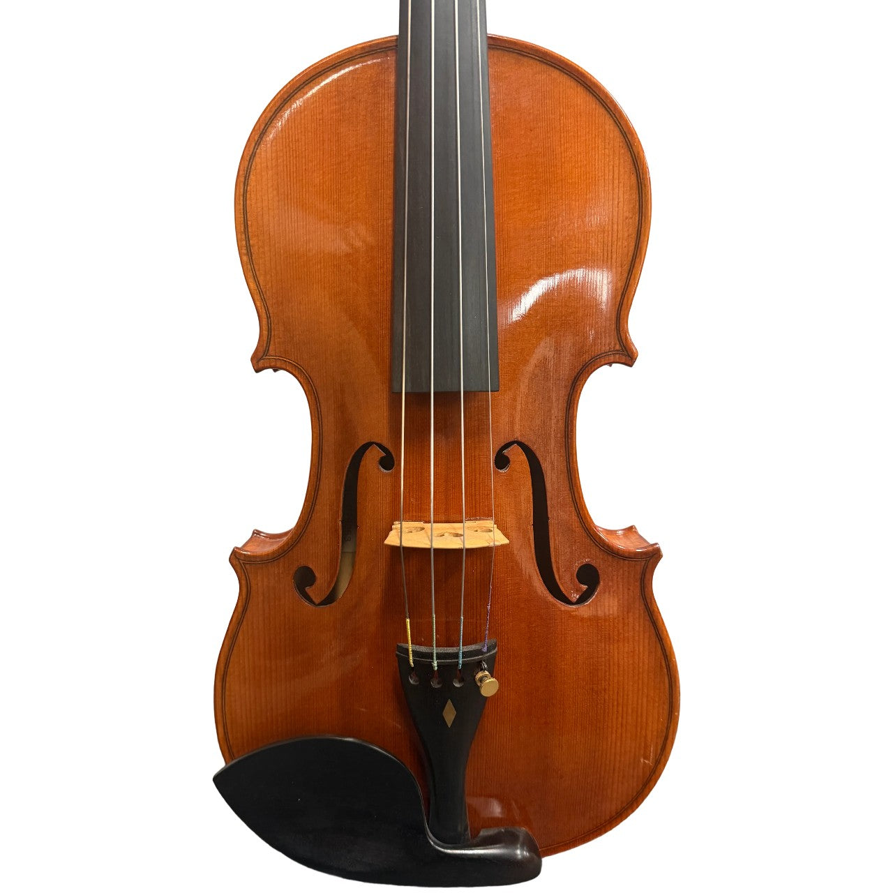 Erich Werner 223W Intermediate 4/4 Violin w/ Case (Demo Model)