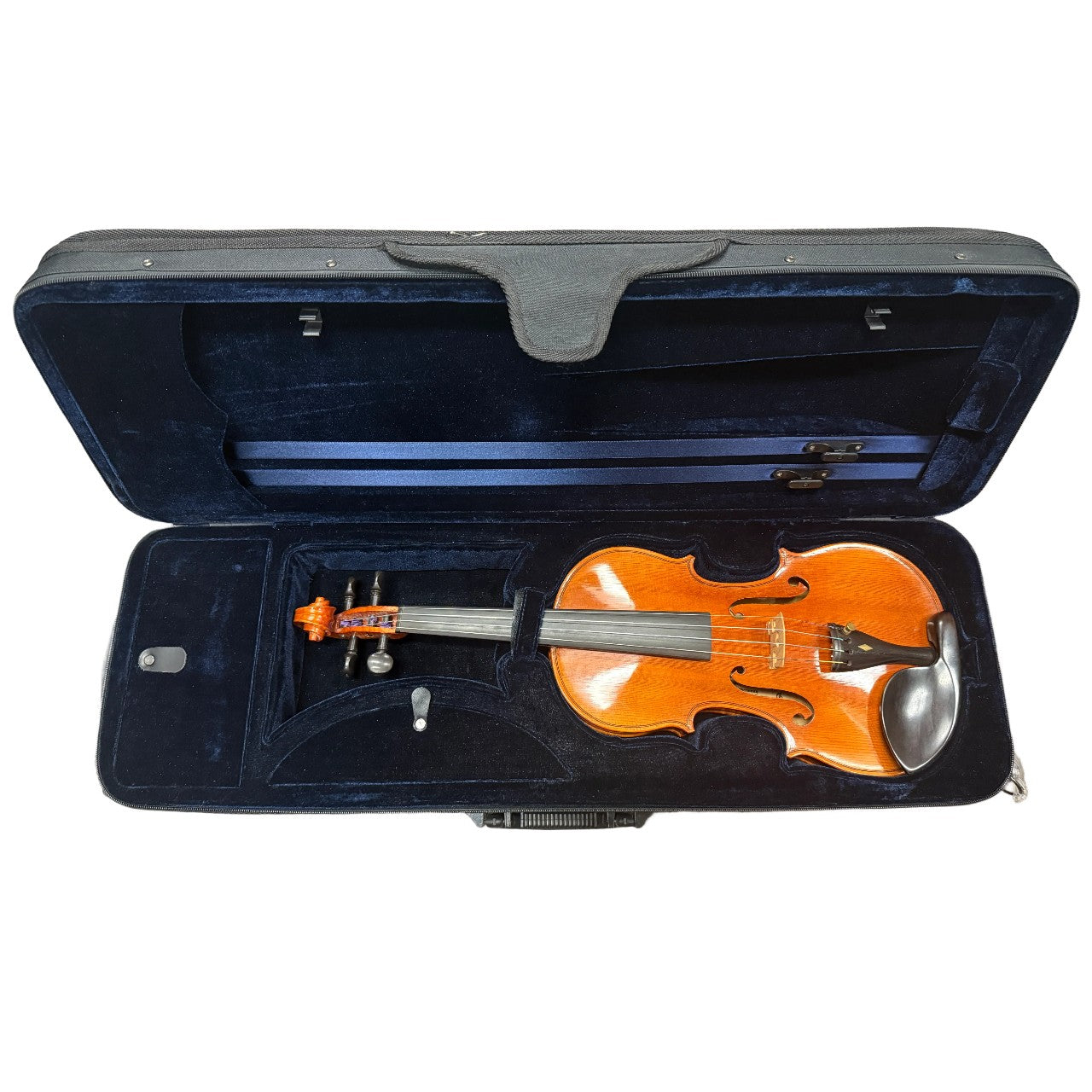 Erich Werner 223W Intermediate 4/4 Violin w/ Case (Demo Model)