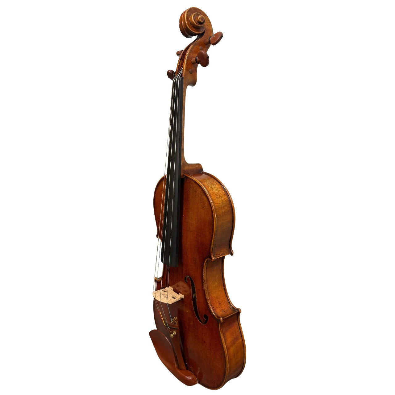 Carrera e Fino VA8155 Intermediate 15.5" Viola w/ Case