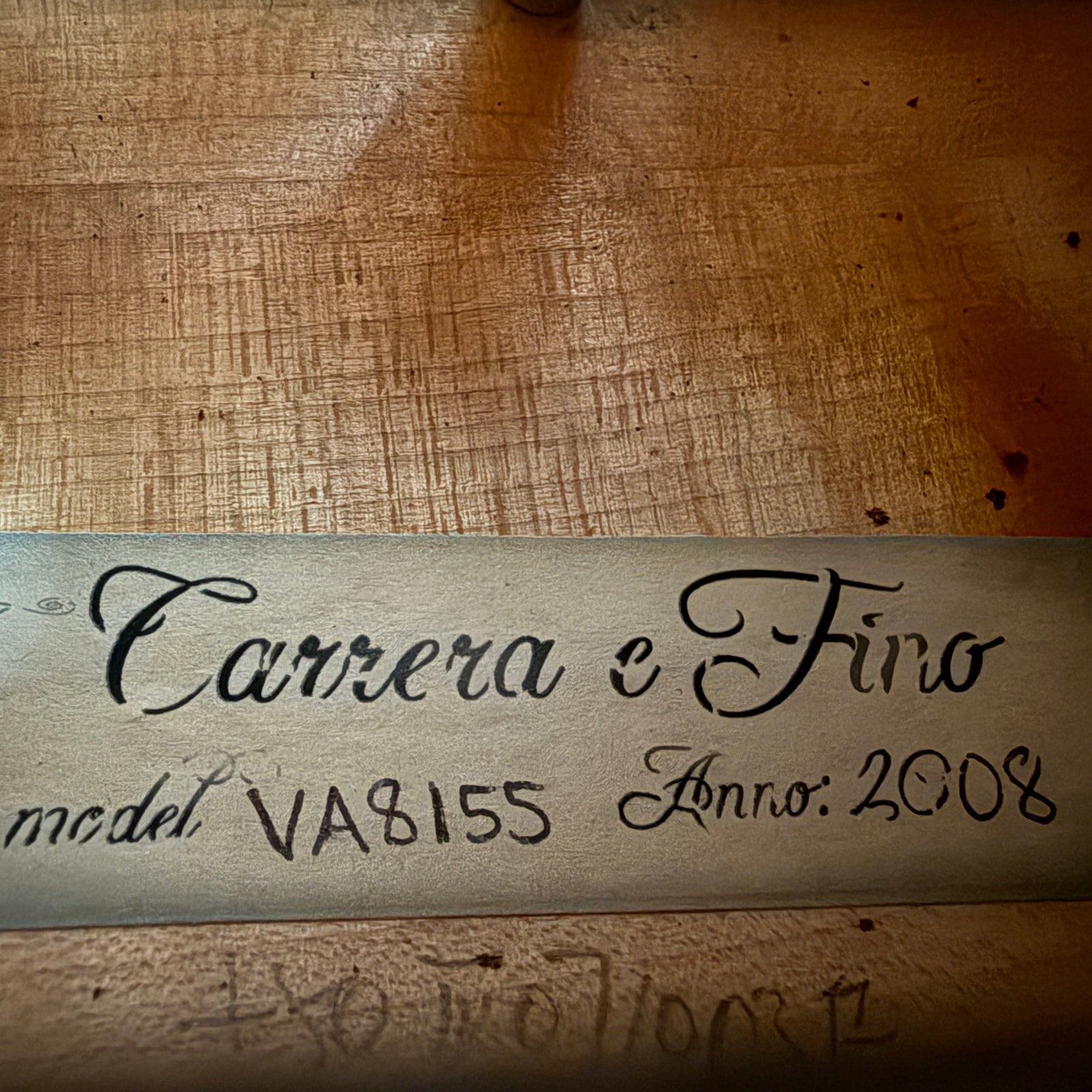 Carrera e Fino VA8155 Intermediate 15.5" Viola w/ Case